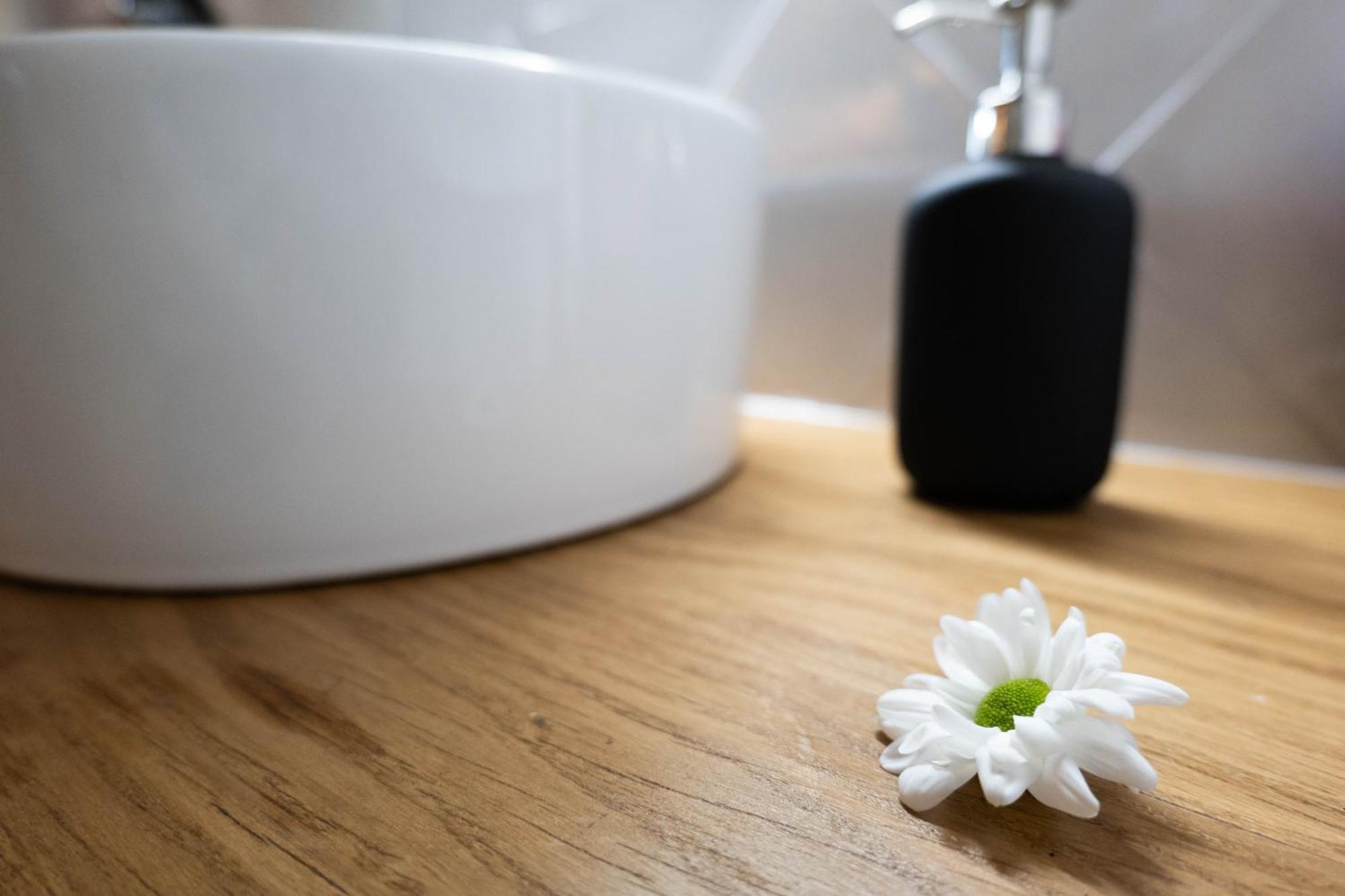 Niu De Queralt Apartment Vic Ngoại thất bức ảnh